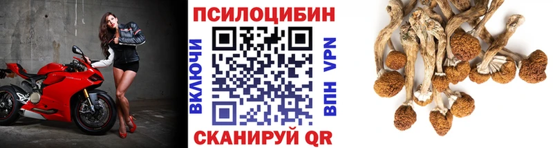 Галлюциногенные грибы Psilocybine cubensis  купить наркоту  hydra ссылка  Минусинск 